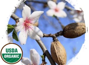 Made Simple Skin Care almond USDA Certified Organic Raw Vegan NonGMO Cruelty-free