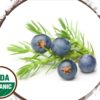 Made Simple Skin Care juniper berry USDA Certified Organic Raw Vegan NonGMO Cruelty-free