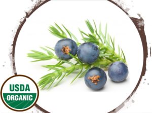 Made Simple Skin Care juniper berry USDA Certified Organic Raw Vegan NonGMO Cruelty-free
