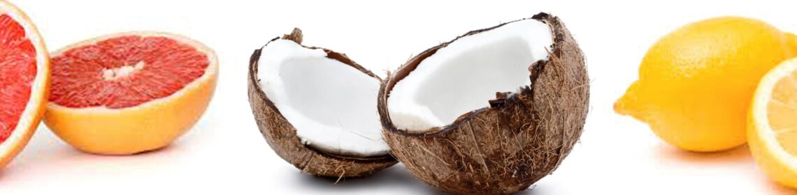 Made Simple Skin Care certified organic raw vegan toothpaste Coconut