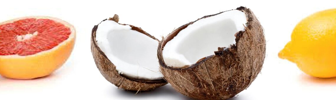 Made Simple Skin Care certified organic raw vegan toothpaste Coconut