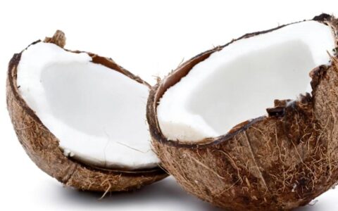 Made Simple Skin Care certified organic raw vegan toothpaste Coconut