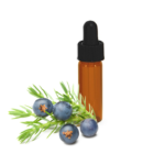 Made Simple Skin Care Face Serum - Pumpkin Juniper