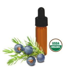 Made Simple Skin Care certified organic raw vegan nonGMO crueltyfree - Pumpkin Juniper face serum