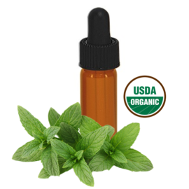 Made Simple Skin Care certified organic raw vegan nonGMO crueltyfree - Spearmint Clove gum tonic