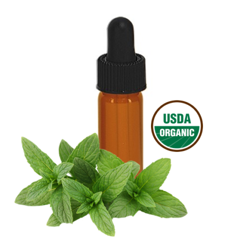 Made Simple Skin Care certified organic raw vegan nonGMO crueltyfree - Spearmint Clove gum tonic