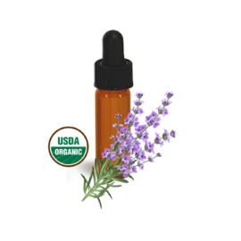 Made Simple Skin Care certified organic raw vegan nonGMO crueltyfree - Helichrysum Lavender face toner