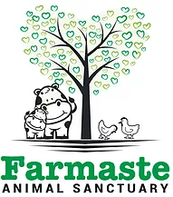 Made Simple Skin Care USDA certified organic raw vegan non-gmo charity farmaste animal sanctuary